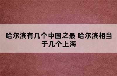 哈尔滨有几个中国之最 哈尔滨相当于几个上海